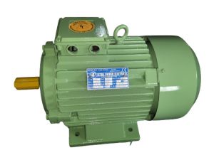 Foot Mounted Three Phase AC Induction Motor