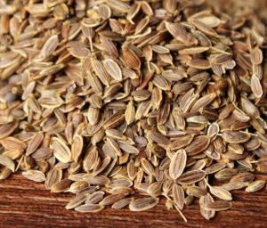 Dill Seeds (Anethum graveolens)