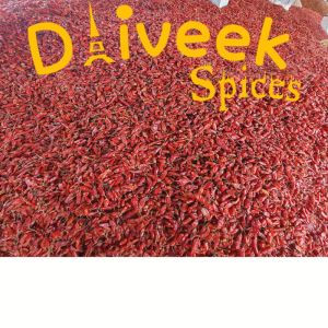 IPM Red Chilli
