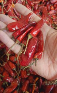 Organic Daiveek Red Chilli