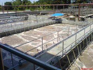 Sewage Treatment Plant