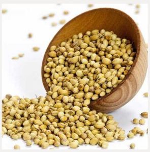 Coriander Seeds