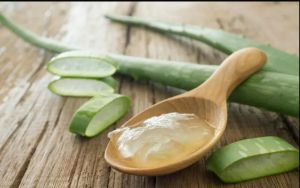 Aloe Vera Extract