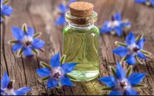 Borage Seed Oil