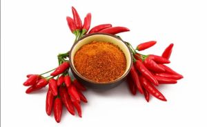 Capsicum Extract