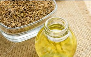 Cumin oil