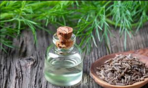 Dill Seed Oil