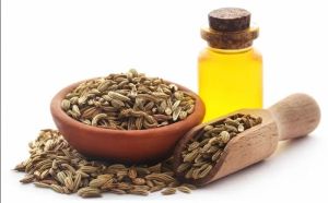 Fennel Oil