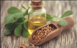 Fenugreek Oil