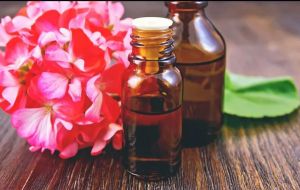 Geranium Oil