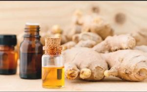 GINGER EXTRACT