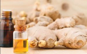 Ginger Oil