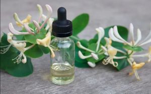 Honeysuckle Oil