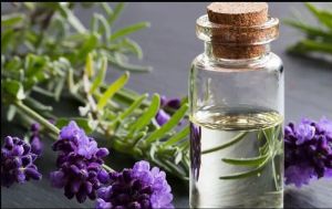 Lavender Oil