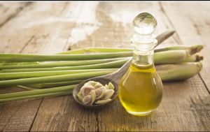 Lemongrass Oil