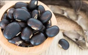 Mucuna Pruriens Extract