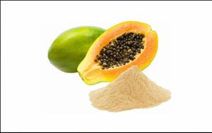 Papaya Powder