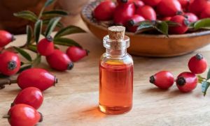 rosehip seed oil