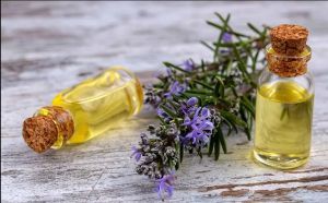 Rosemary Oil