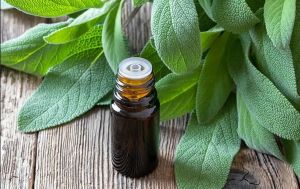 Sage Oil