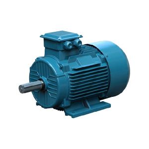 IE2 Cast Iron Frame Three Phase Motor