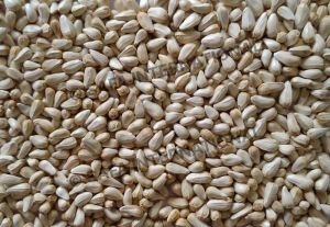 White Safflower Seeds