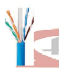 BEL601006 Cat6 4pr 24AWG UTP Data connect Cable
