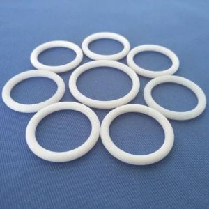 PTFE O-Rings