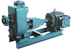 Dewatering Coupled Pump Set