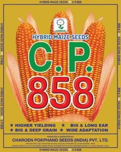 C.P. 858 Hybrid Maize Seeds