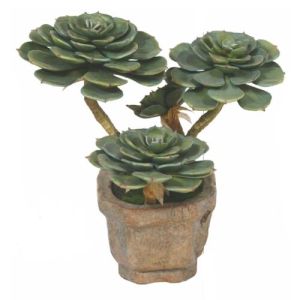 Artificial Succulent Lotus Bonsai Plant