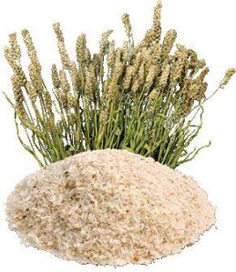 Psyllium Husk