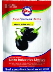 Sikko Brinjal Seed