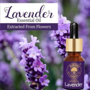 Lavender Essential Oil