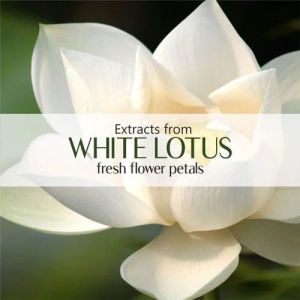 White Lotus Essential Oil