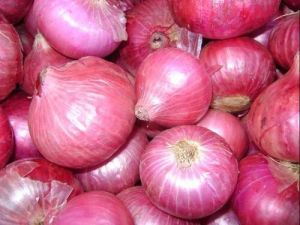 Fresh Pink Onion