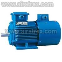 Industrial Motor