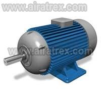 Industrial Motor