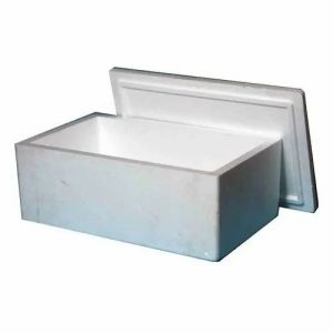 Pharmaceutical Packaging Thermocol Boxes