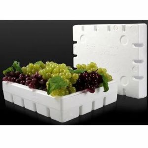 Thermocol Fruit Packaging Boxes