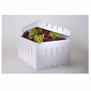 Thermocol Grapes Packaging Box