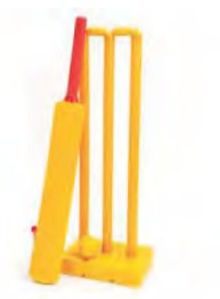 Cricket Set