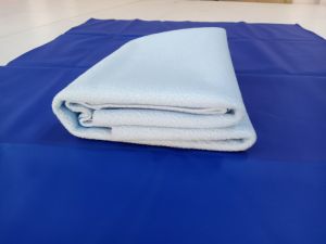 Dual used Baby dry sheet