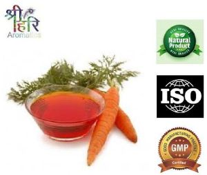 Carrot Seed Oil