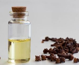 Clove Bud Oil