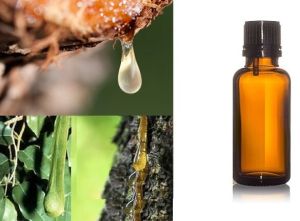 Copaiba Balsam Oil