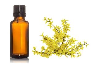 Galbanum Essential Oil