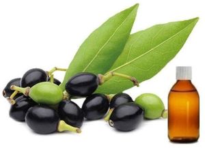 Laurel Berry Oil