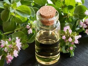 Oregano Oil