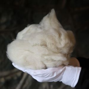 Pashmina Cashmere Fiber